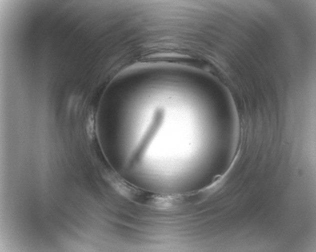 X0000068850190200605051222