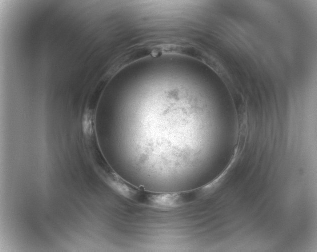 X0000068850191200605051222