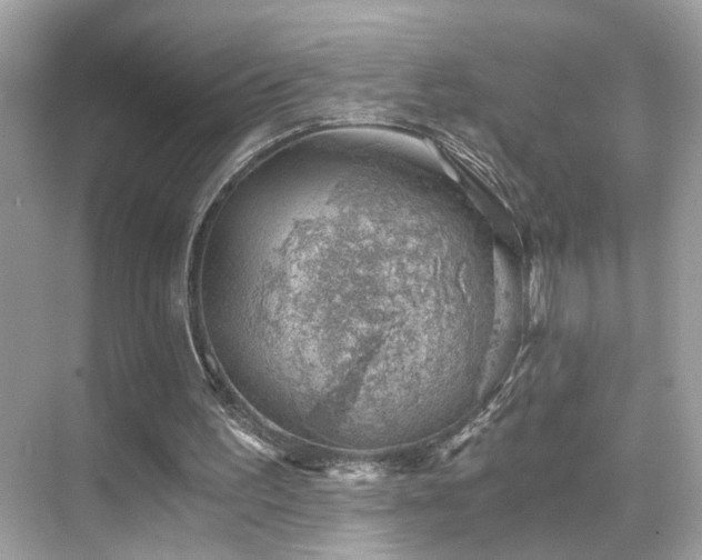 X0000068850195200605051221