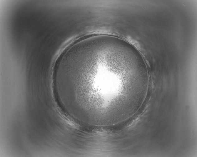 X0000068850199200605051221