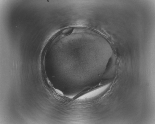 X0000068850200200605051221