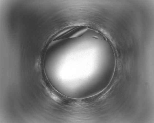 X0000068850201200605051221