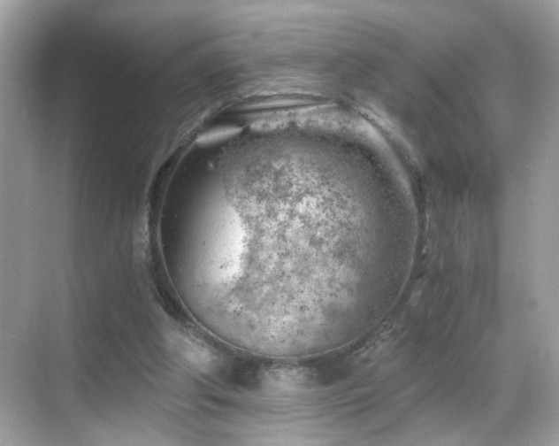 X0000068850202200605051221