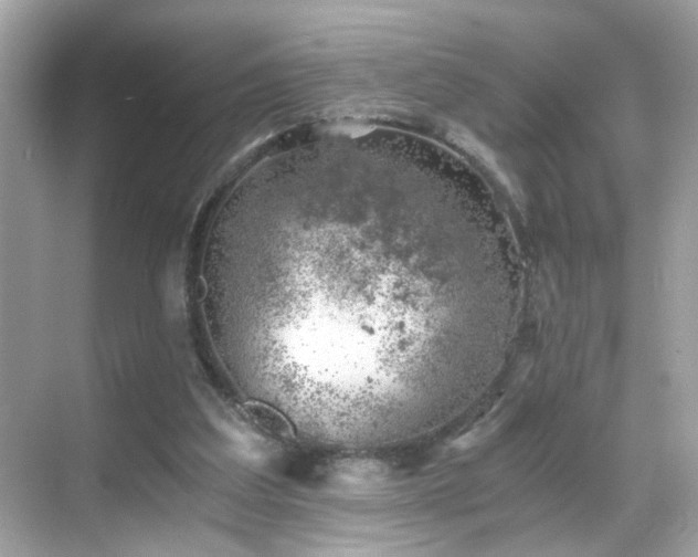 X0000068850203200605051221