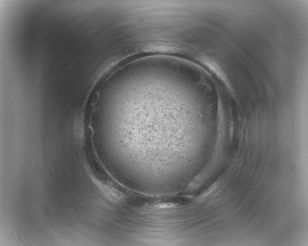 X0000068850204200605051221