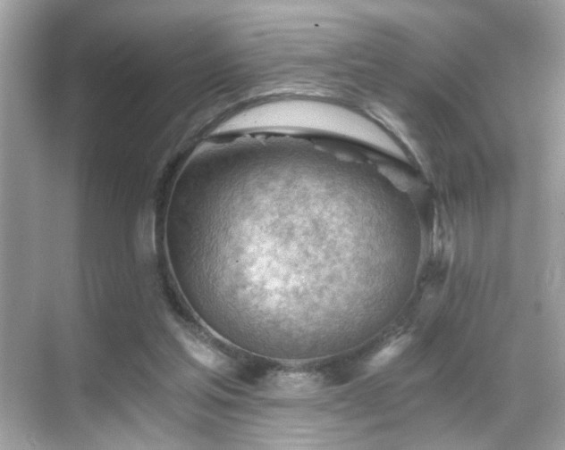 X0000068850205200605051221