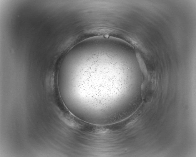 X0000068850206200605051221