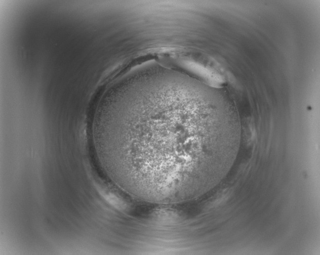 X0000068850207200605051221