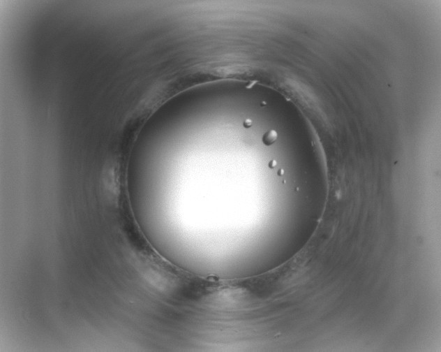 X0000068850210200605051221