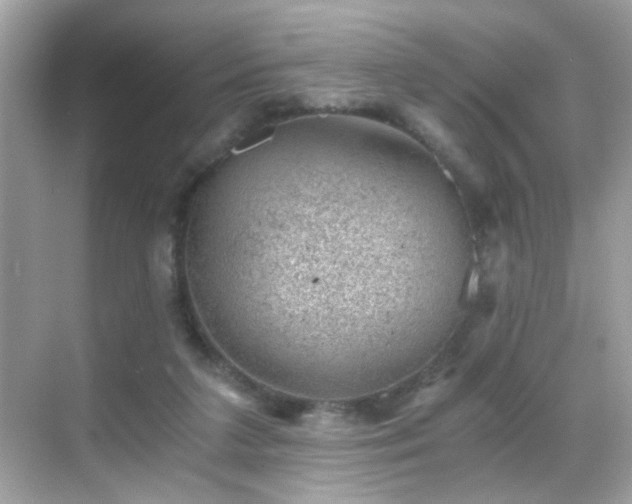 X0000068850211200605051221