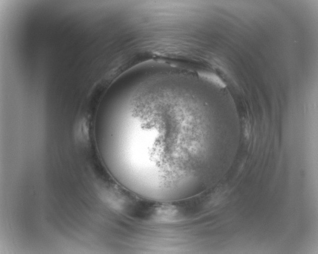 X0000068850214200605051221