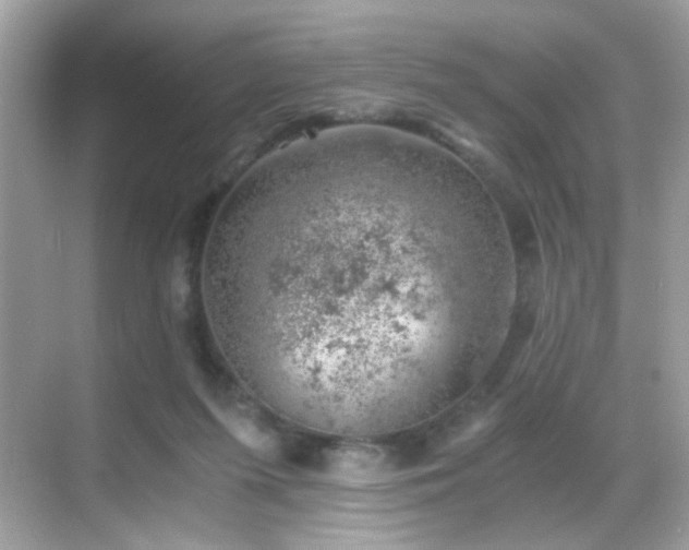 X0000068850215200605051221