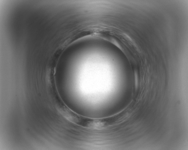 X0000068850217200605051221