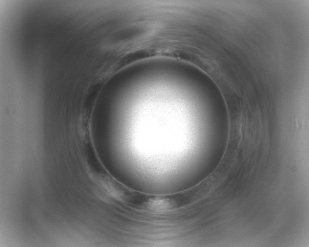 X0000068850218200605051221