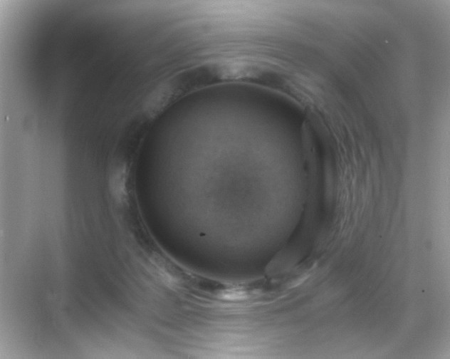 X0000068850219200605051221