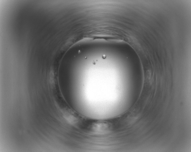 X0000068850220200605051221