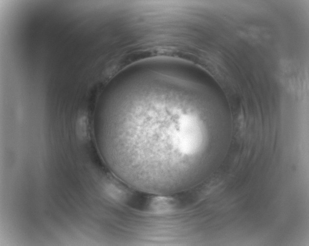 X0000068850222200605051221