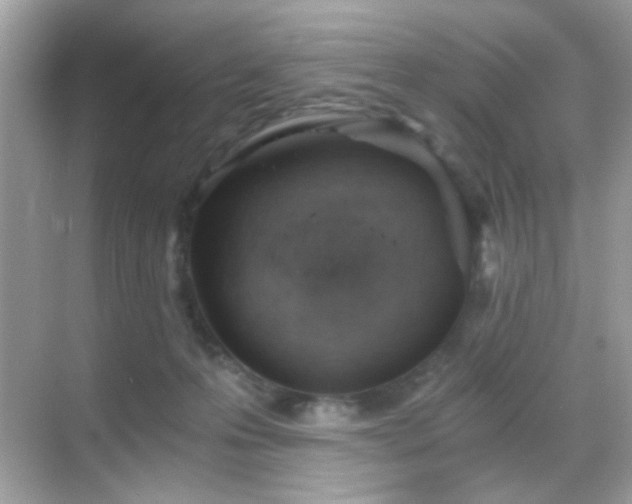 X0000068850223200605051221