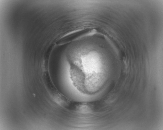 X0000068850224200605051221