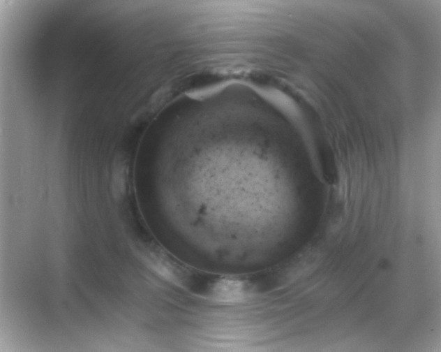 X0000068850227200605051221