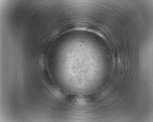 X0000068850228200605051221