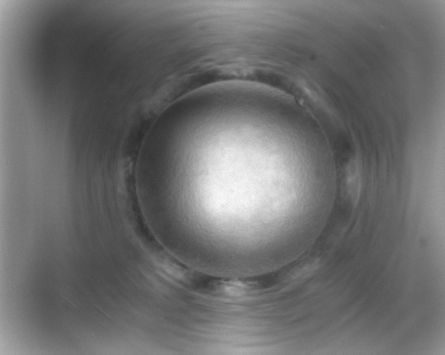 X0000068850229200605051221