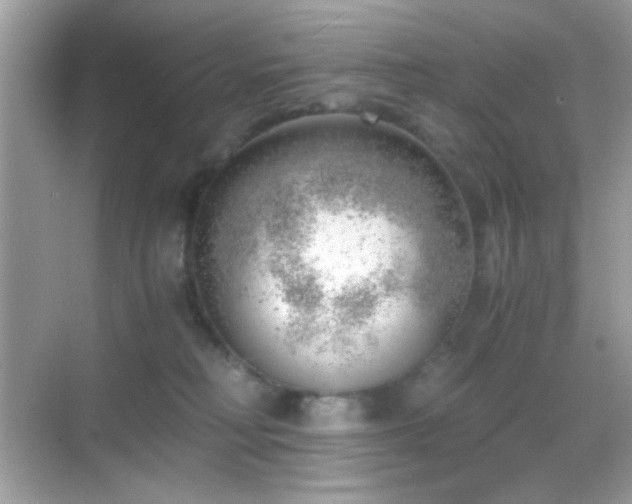 X0000068850230200605051221