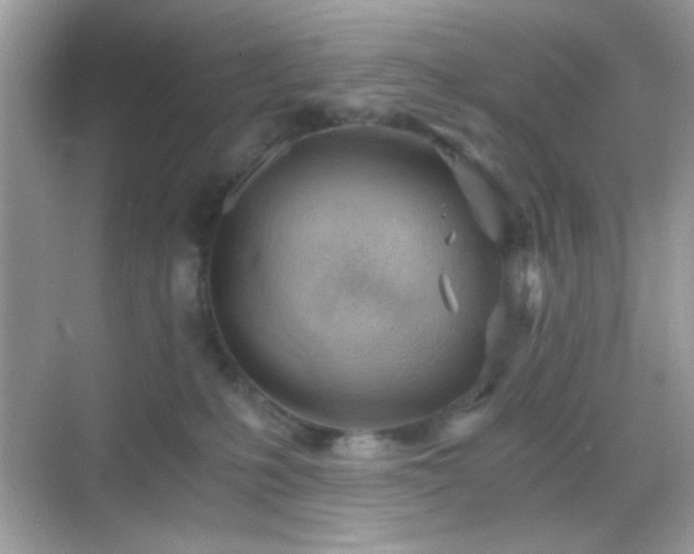 X0000068850231200605051221