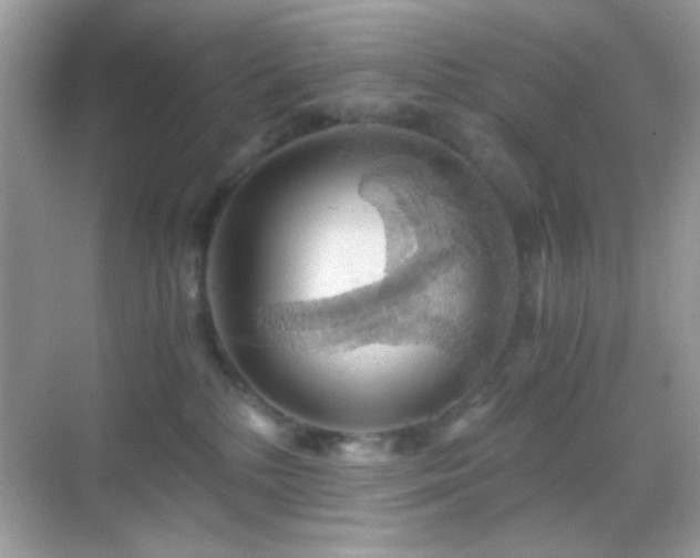 X0000068850232200605051221