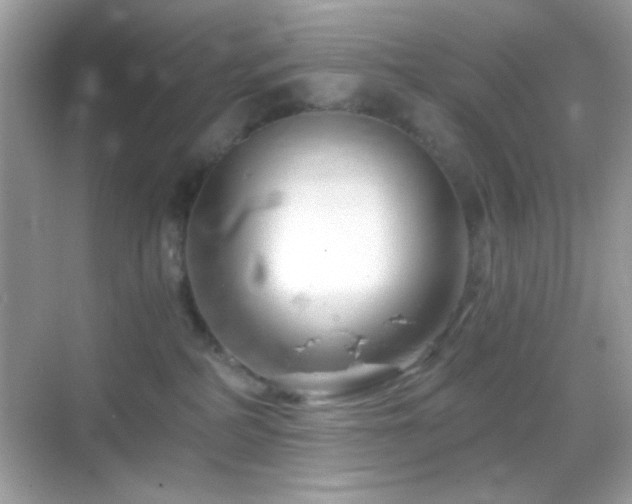 X0000068850234200605051221