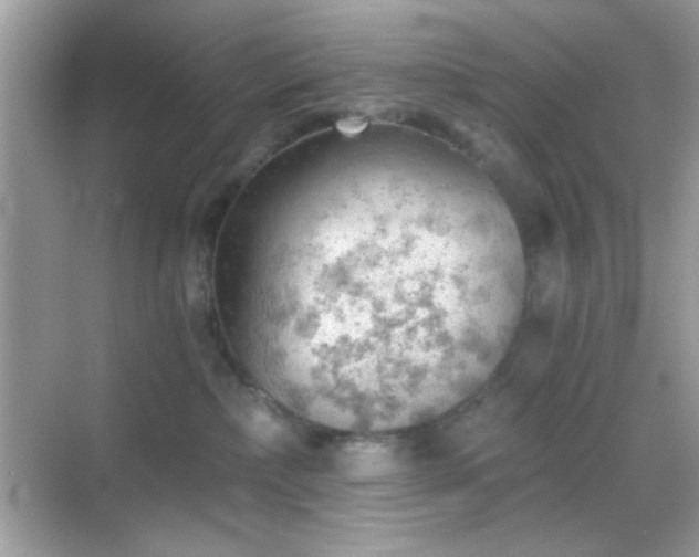 X0000068850236200605051221