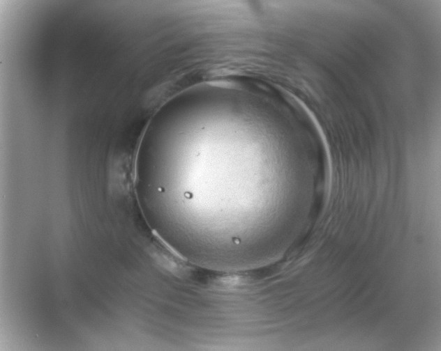 X0000068850237200605051221