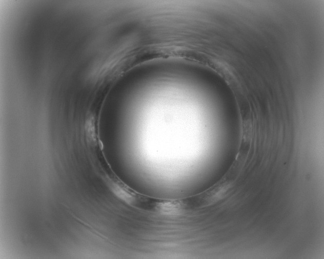 X0000068850238200605051221