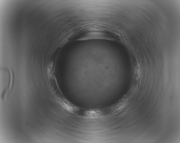 X0000068850239200605051221