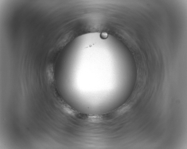 X0000068850240200605051221