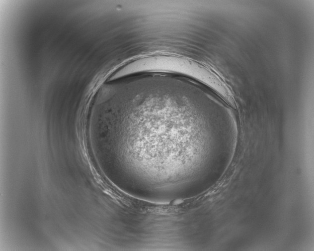 X0000068850241200605051220