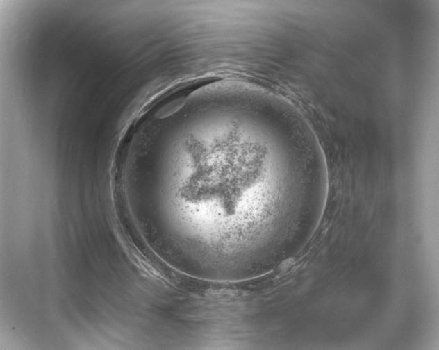 X0000068850242200605051220