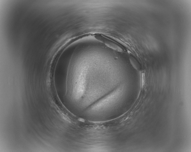 X0000068850243200605051220