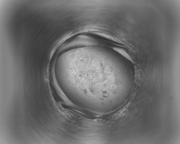 X0000068850244200605051220