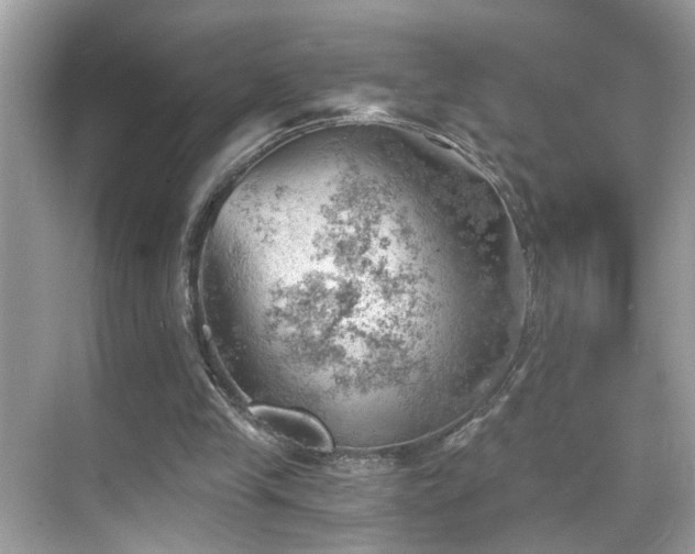 X0000068850245200605051220