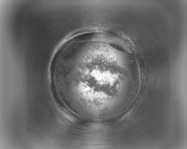 X0000068850246200605051220