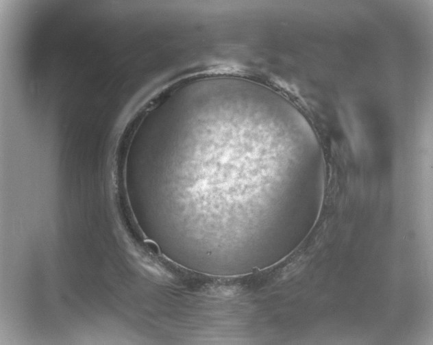 X0000068850247200605051220