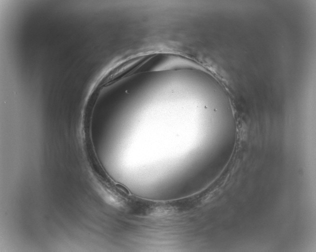 X0000068850248200605051220