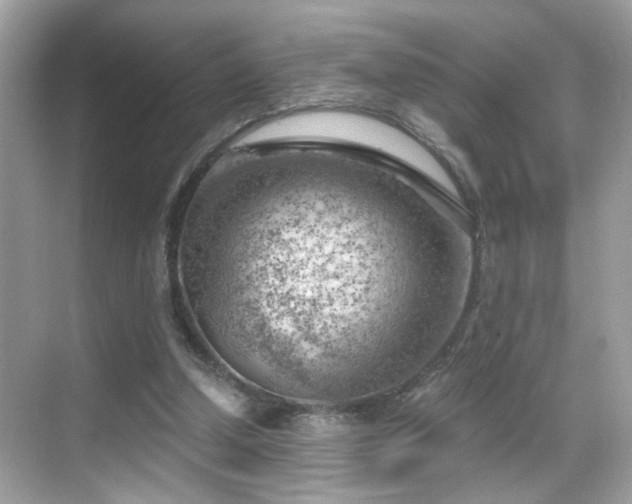 X0000068850250200605051220