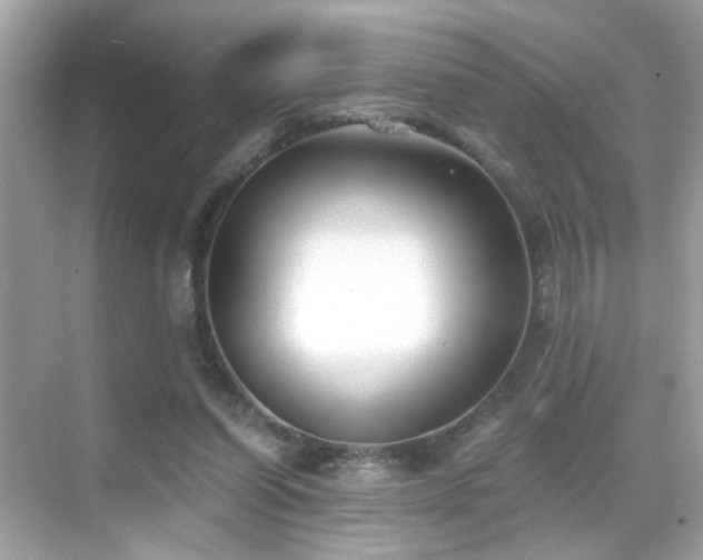 X0000068850254200605051220