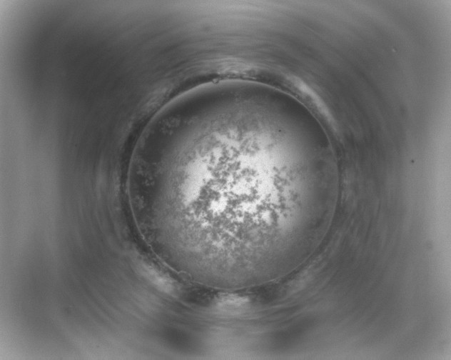 X0000068850257200605051220