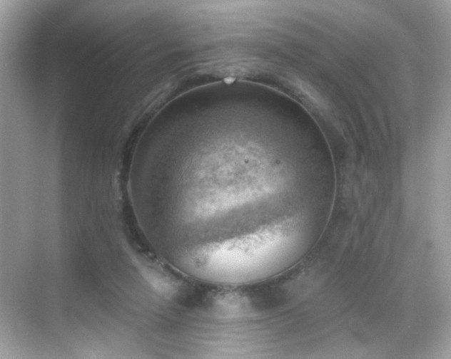 X0000068850258200605051220