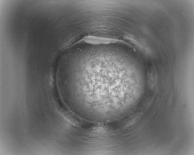 X0000068850259200605051220