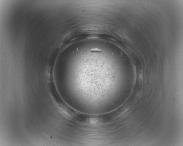 X0000068850264200605051220