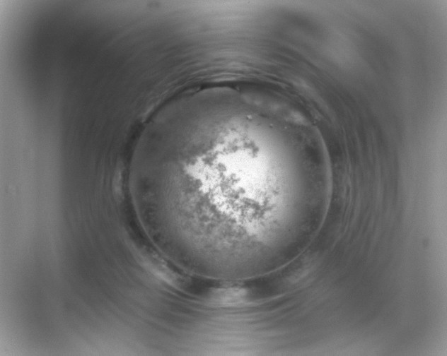 X0000068850266200605051220